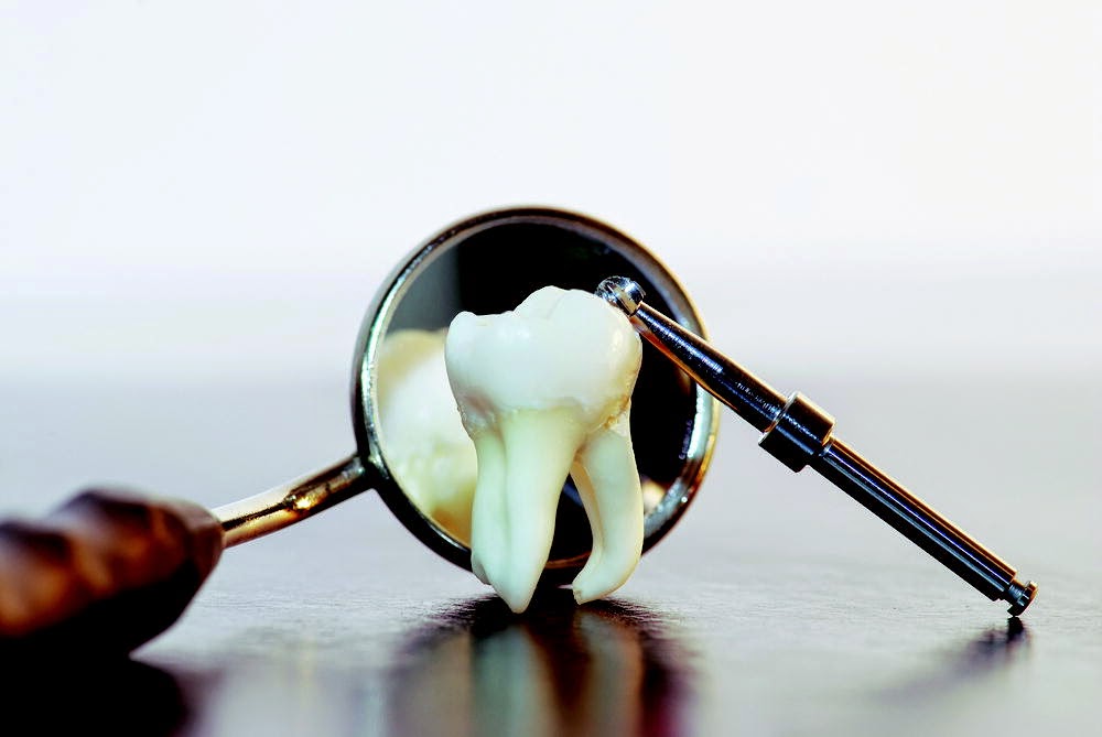 Dental Clinic BDL Denture Clinic dental clinic in Palmerston North