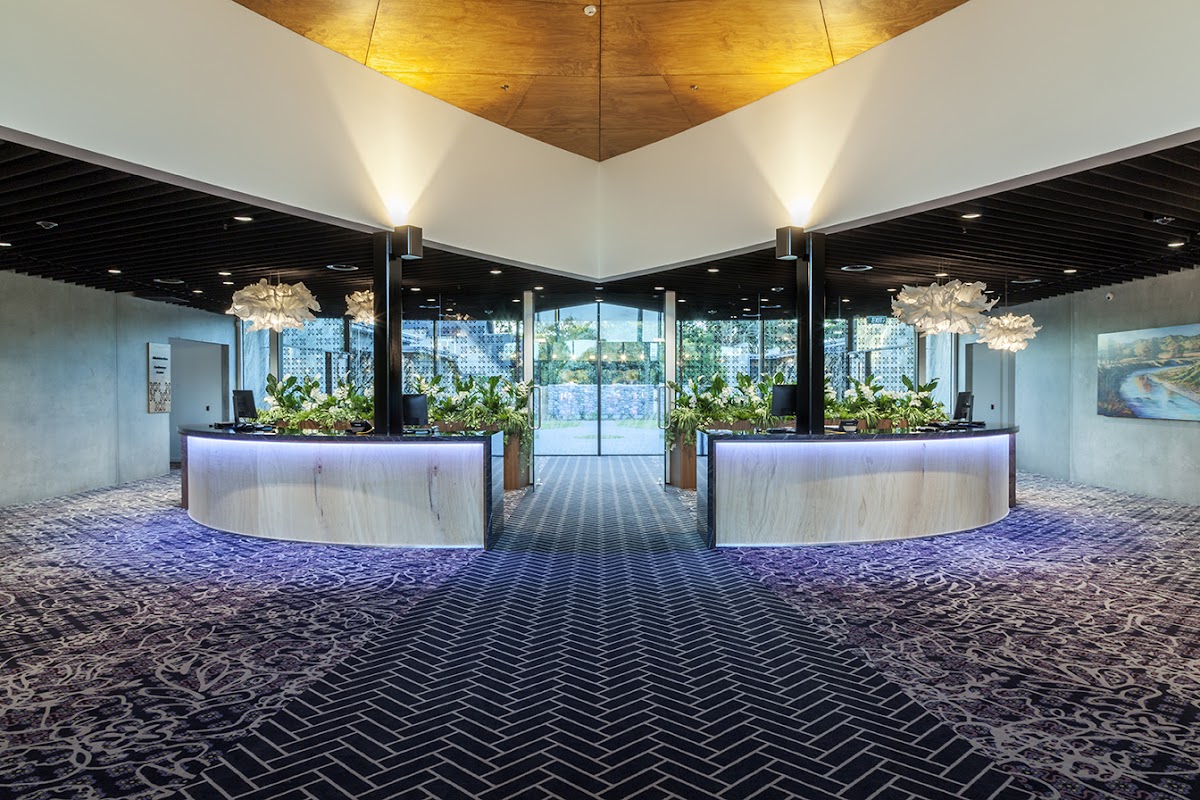 Canopy Imaging Palmerston North