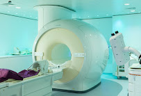 Canopy Imaging Palmerston North