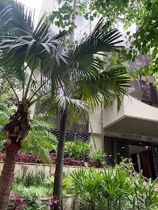 COR - Clínica Odontológica Rosatti | Dentista em Higienópolis