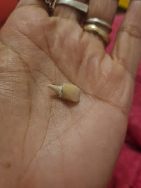 DK Odontologia (Dr. Dennis Kannebley)