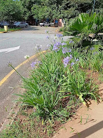 FOUSP - USP School of Dentistry