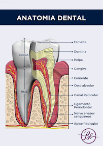 Consultório Odontológico Particular Bianca Barata | Dentista Emergência 24h WhatsApp | Prótese, Implante - Copacabana/RJ
