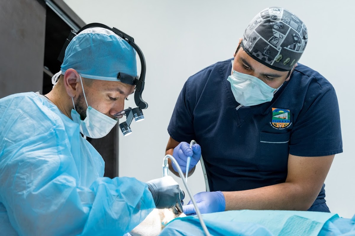 Dental Brush Tijuana - dental clinic in Tijuana