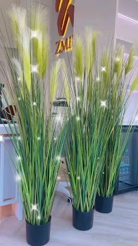 Zmile Dental Clinic Thailand