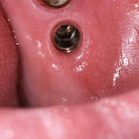 Dental Studio by Viviana Navarro