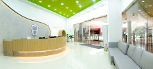 Smile Inc IPS