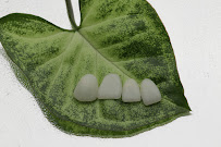 Odontologia Salud dental 127