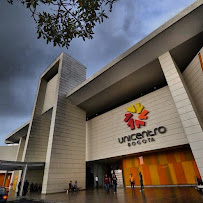 Dra. Melody Cohen - Endodoncia Avanzada