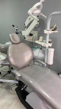 Dra. Melody Cohen - Endodoncia Avanzada