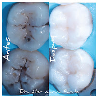Oficina Dental Especializada - Dra. Flor Marina Pardo