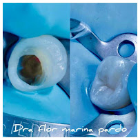 Oficina Dental Especializada - Dra. Flor Marina Pardo