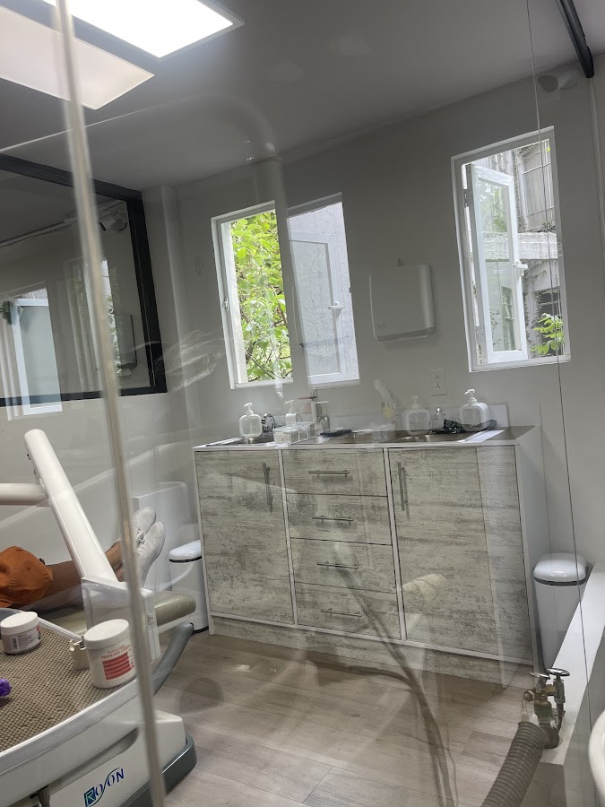 Clínica Dental AmsterDent - dental clinic in Mexico City, Mexico