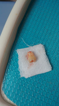 Clínica Dr Walter Moraga