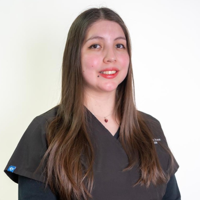 General Dentist Loreto Vargas - General dentistry and aesthetics