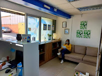World Dental Odontología Profesional