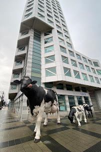 Clínica Dental StarrDent