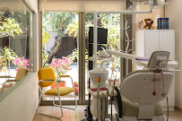 Dentistas DF