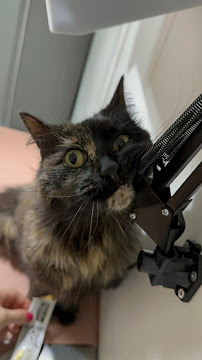 Clínica Veterinaria San Francisco