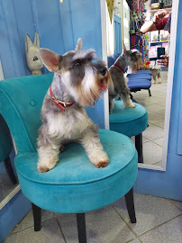 Clínica Veterinaria San Francisco