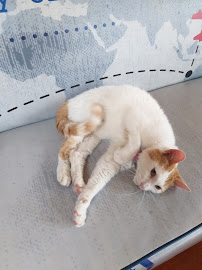 Clínica Veterinaria San Francisco