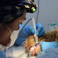 Clínica Veterinaria San Francisco