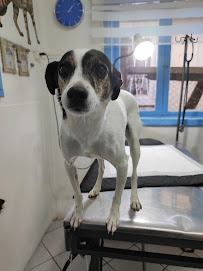 Clínica Veterinaria San Francisco