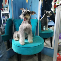 Clínica Veterinaria San Francisco in Coyhaique, Chile