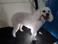 Clínica Veterinaria San Francisco