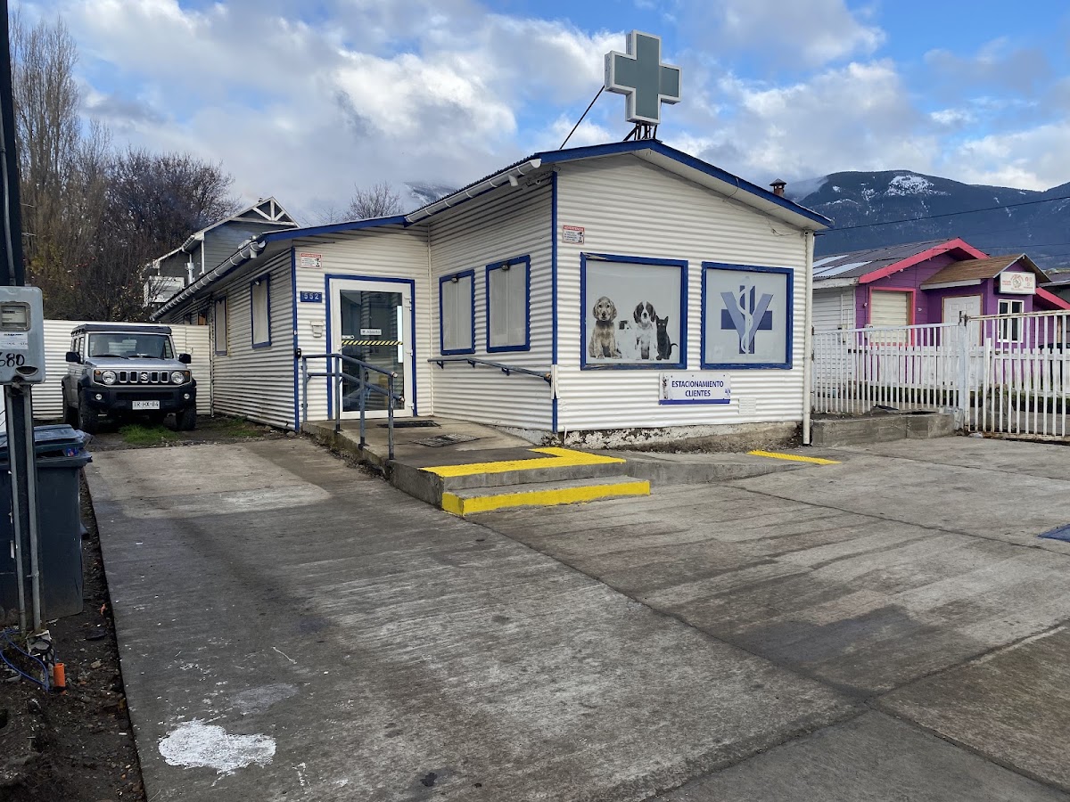 Veterinaria Cruz Azul - dental clinic in Coyhaique