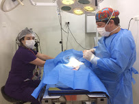 Veterinaria Cruz Azul