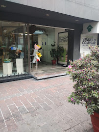 Dra. Maricela Torres Rubí, odontóloga