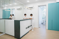 New Dent - ნიუ დენტი