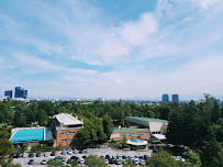 Dra. Shirley De Brito