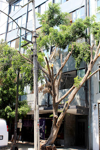 OdontoHealth Condesa