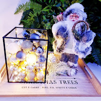 Dentists In Annerley