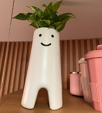 hisonrisa – Clínica dental en Roma Sur, CDMX