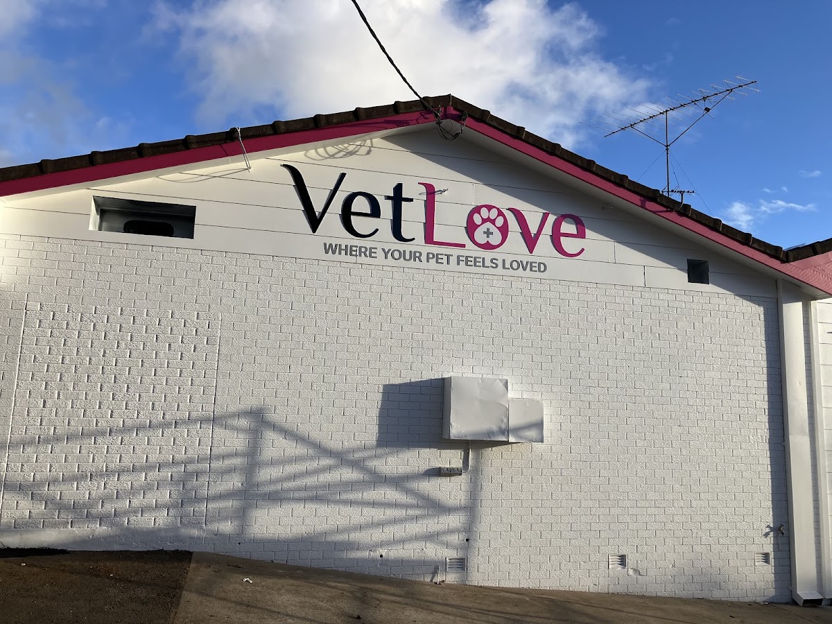 VetLove Toowoomba - dental clinic in Toowoomba, Australia