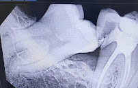 Shangrila Dental Clinic