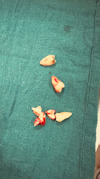 Om Samaj Dental Hospital