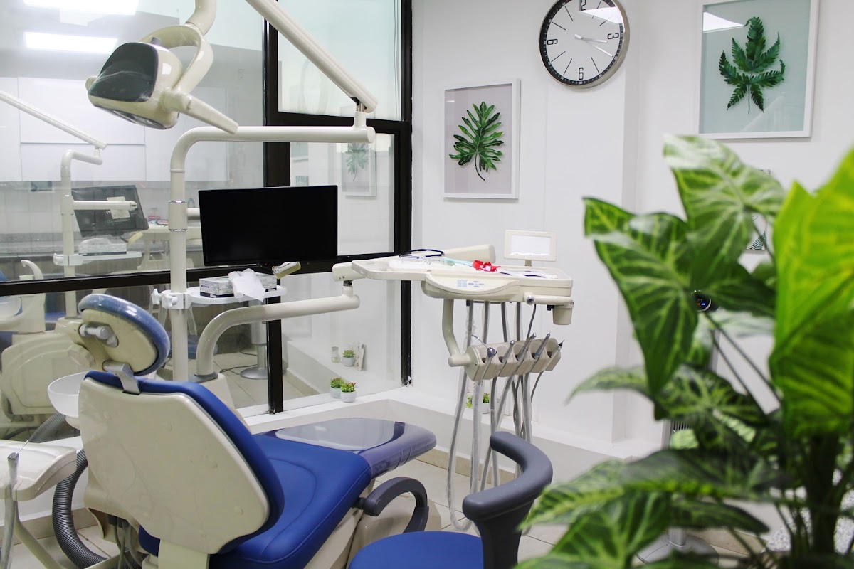 Dental Clinic Primedent dental clinic in Mexico City