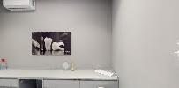 Implantus by Dr. Roland Zhuka - Dental Clinic in Tirana, Albania