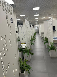 Elonix Dental Clinic