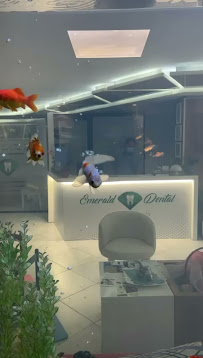 Emerald Dental | Dentista Albania: Dal Volo alla Cura per Denti e Sorrisi