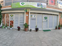 Emerald Dental | Dentista Albania: Dal Volo alla Cura per Denti e Sorrisi