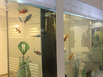 Emerald Dental | Dentista Albania: Dal Volo alla Cura per Denti e Sorrisi