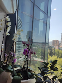 Klinika VitalDent Tirana – Dr. Juliana Tara ER