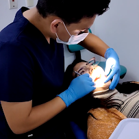 Perfect Dental Circuit