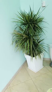 Klinika Gerti-Imazheri Mjekesore-Sherbime Degjimi