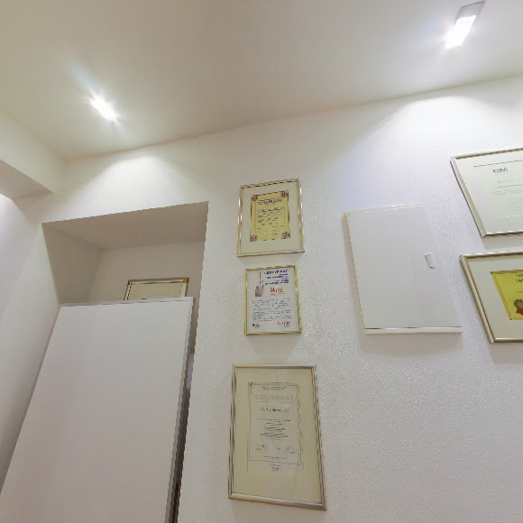 SE + Studio of Esthetic Dentistry